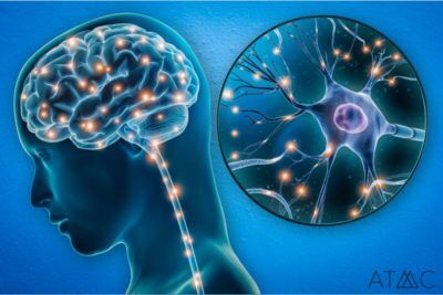 Benzodiazepine Withdrawal and Toxic Heavy Metals Testing