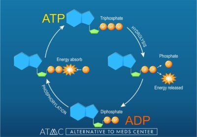 glutathione and adderall reddit NAD+ IV Therapy Micro-Pack+®, Liposomal Glutathione, 30 skin perfector Size:BPC-157 5mg + TB-500 5mg