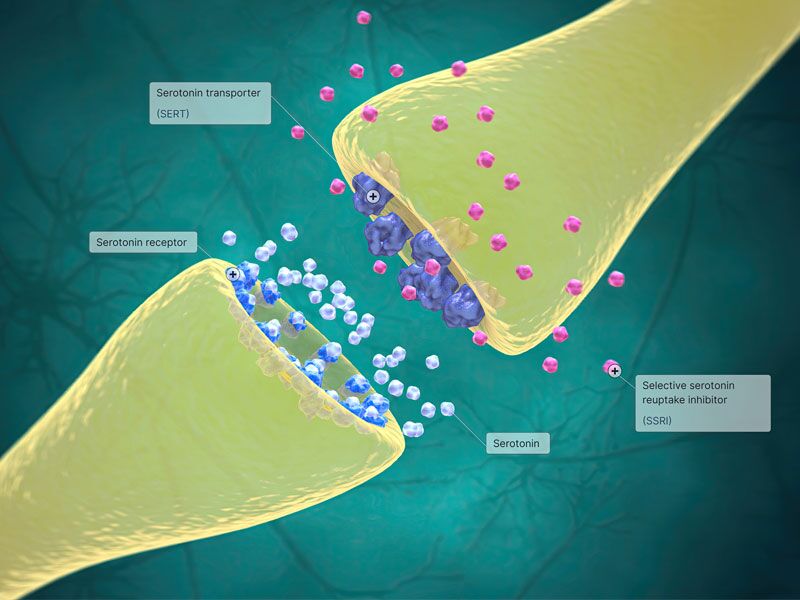 zoloft and tirzepatide Does Mounjaro Interact with Sertraline? UK Safety Guide Everything You Should Know About